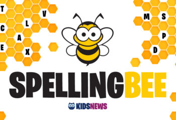 kidsnews-spellingbee-985x554