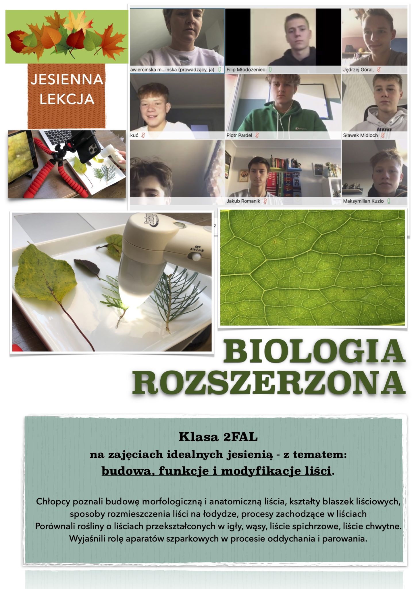 Budowa, funkcje i modyfikacje liści. – Pierwsze Prywatne Liceum