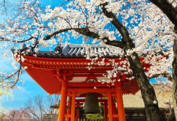 japonia-kraj-do-ktorego-musisz-pojechac japonia-kraj-do-ktorego-musisz-pojechac