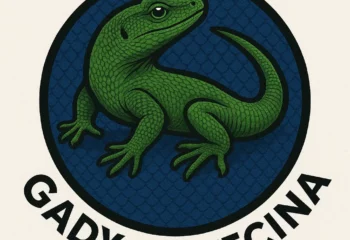 01k5egtb9wntnb4z0ch2wd82m9 01k5egtb9wntnb4z0ch2wd82m9